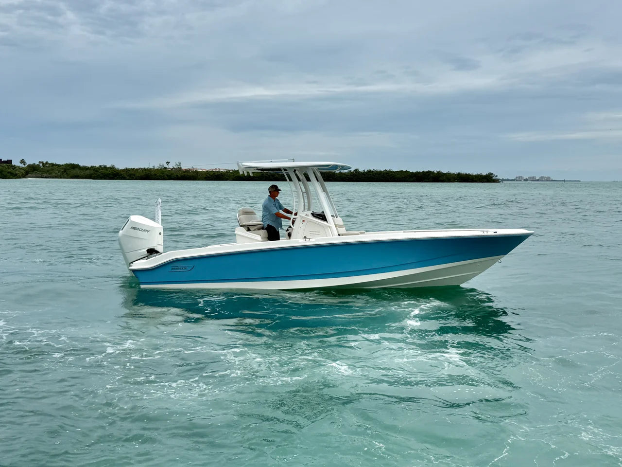 2026 Boston Whaler 250 Dauntless 25.0 feet, Clearwater, Florida #4