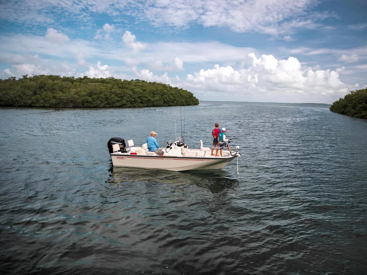 2026 Boston Whaler 170 Montauk 17.0 feet, Clearwater, Florida #3