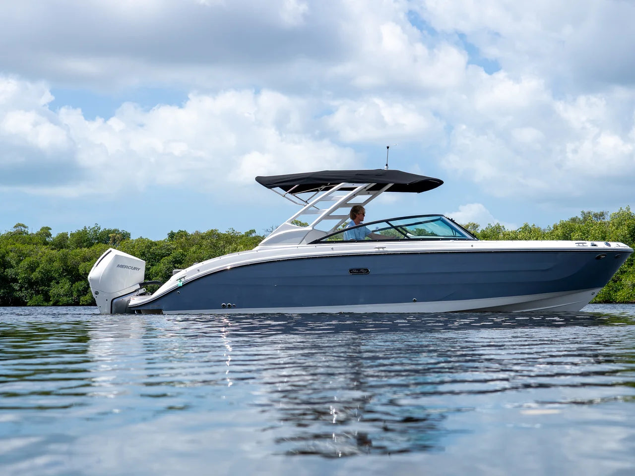 2026 Sea Ray SDX 270 Outboard 27.0 feet, Clearwater, Florida #1