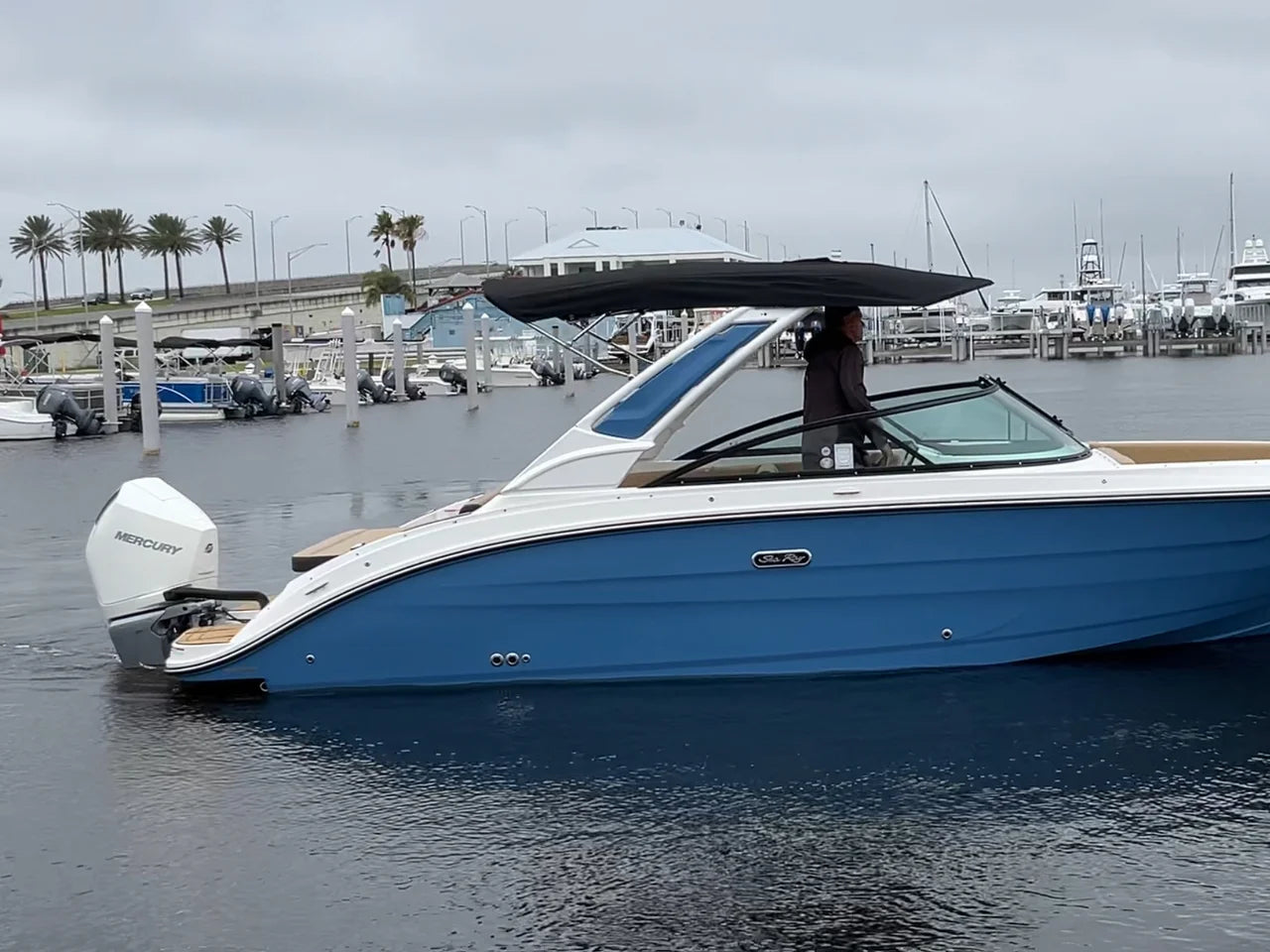 2026 Sea Ray SDX 250 Outboard 25.0 feet, Clearwater, Florida #3