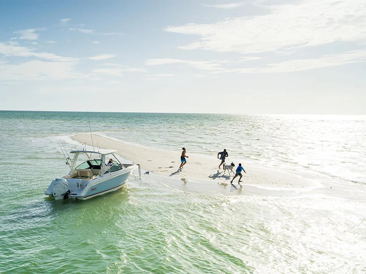 2026 Boston Whaler 240 Vantage 24.0 feet, Clearwater, Florida #13