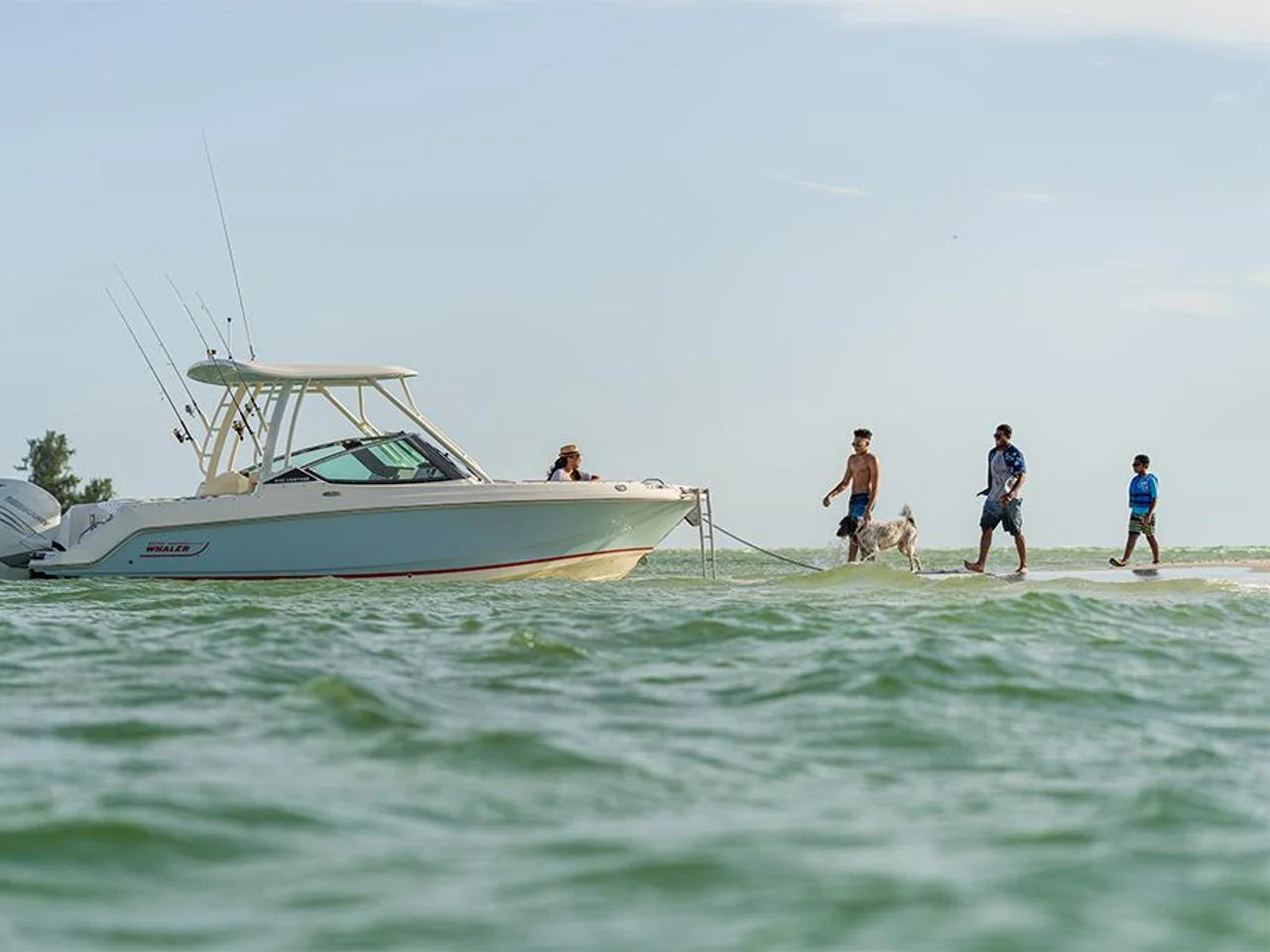 2026 Boston Whaler 240 Vantage 24.0 feet, Clearwater, Florida #16