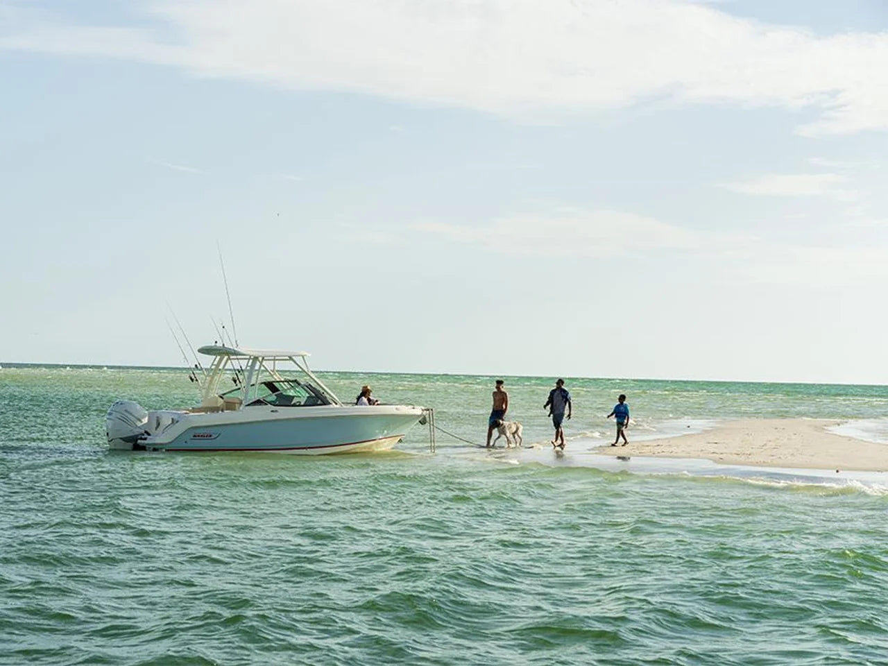 2026 Boston Whaler 240 Vantage 24.0 feet, Clearwater, Florida #50