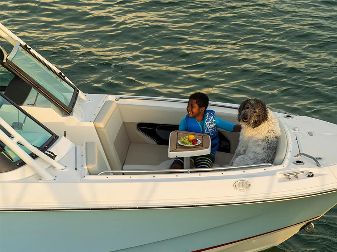 2026 Boston Whaler 240 Vantage 24.0 feet, Clearwater, Florida #37