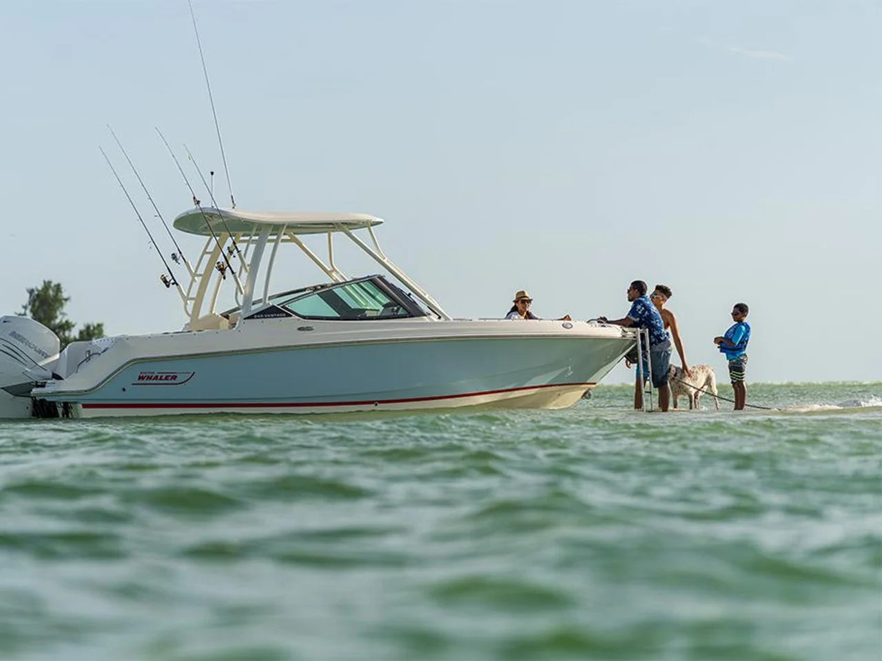 2026 Boston Whaler 240 Vantage 24.0 feet, Clearwater, Florida #65