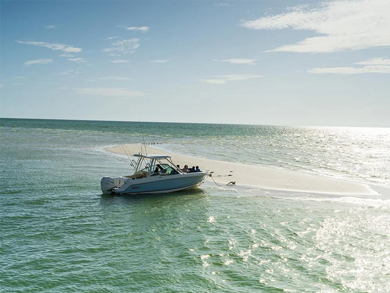 2026 Boston Whaler 240 Vantage 24.0 feet, Clearwater, Florida #55