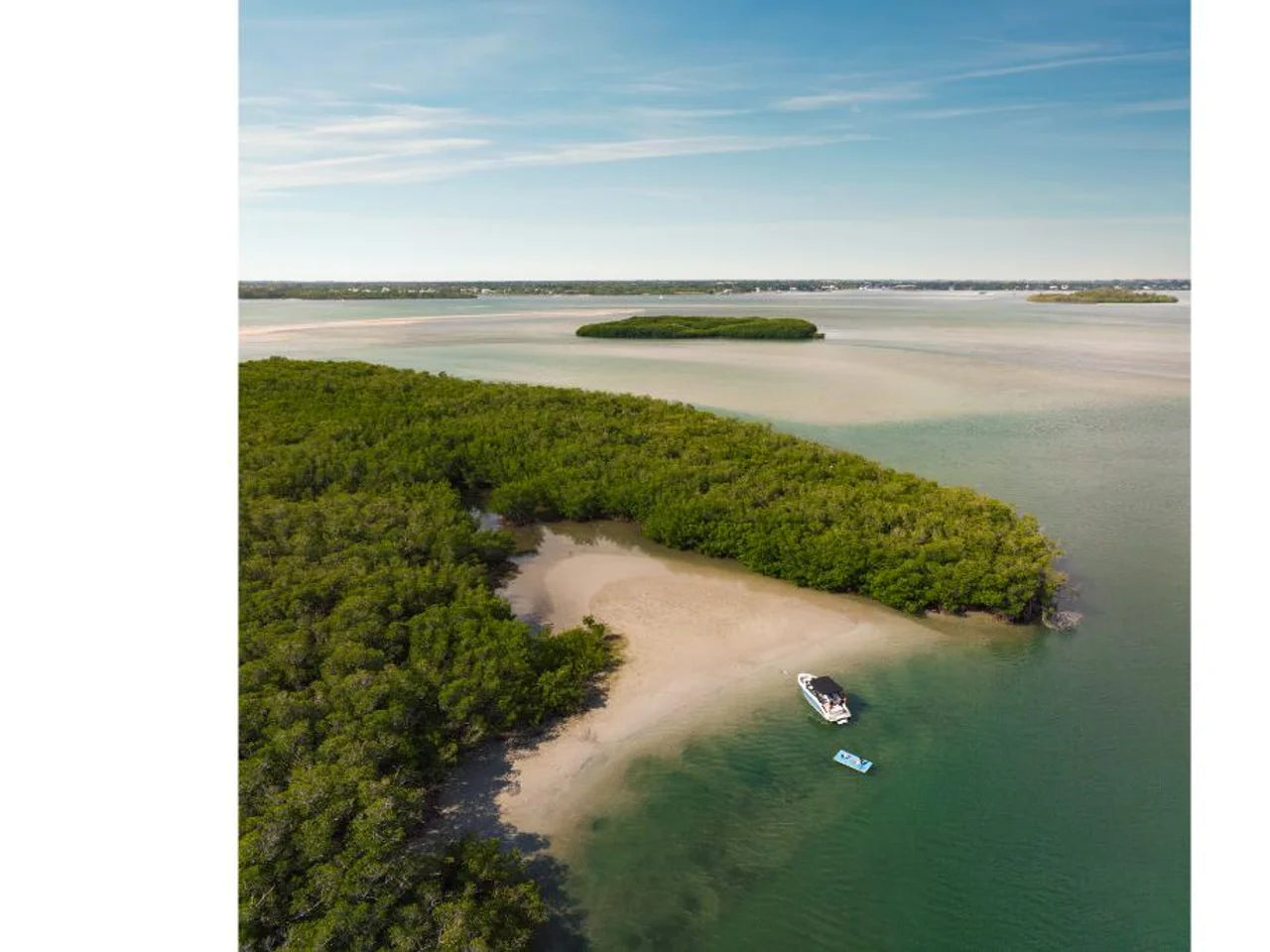 2026 Sea Ray SLX 260 26.0 feet, Clearwater, Florida #22