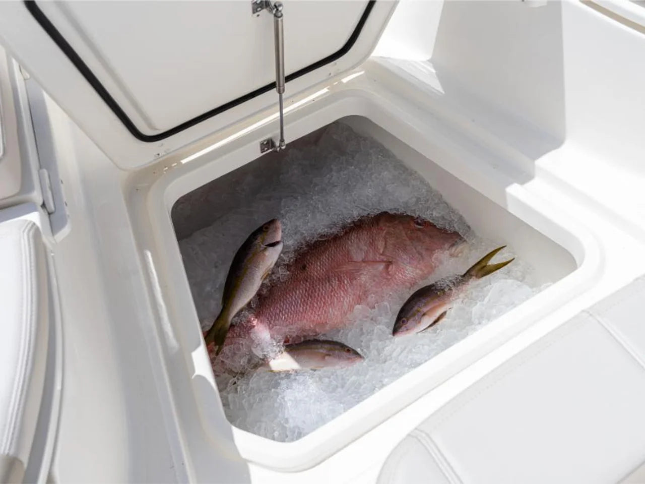 2026 Boston Whaler 280 Dauntless 28.0 feet, Clearwater, Florida #71