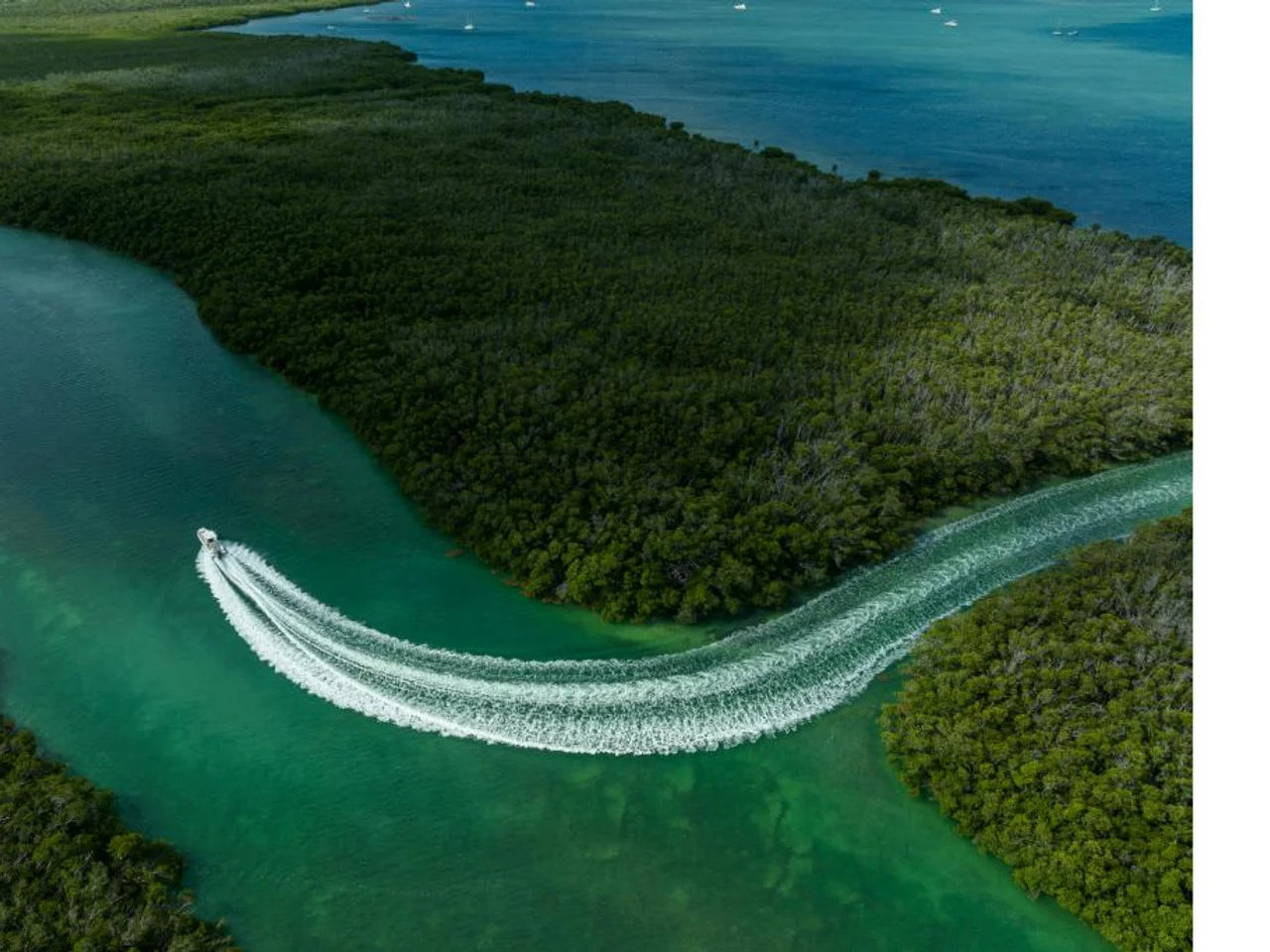2026 Boston Whaler 280 Dauntless 28.0 feet, Clearwater, Florida #114