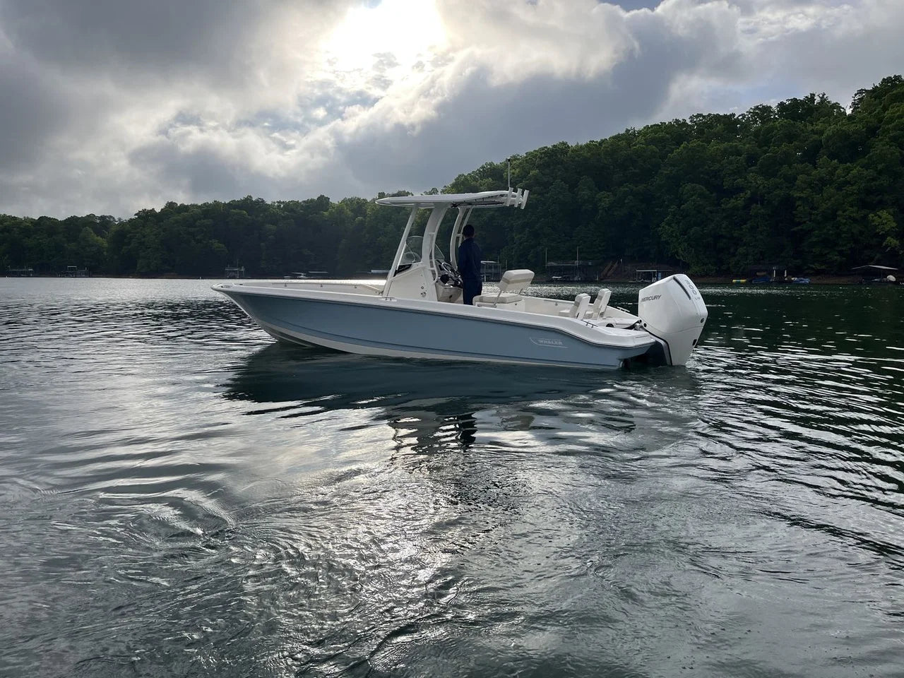2026 Boston Whaler 250 Dauntless 25.0 feet, Clearwater, Florida #6