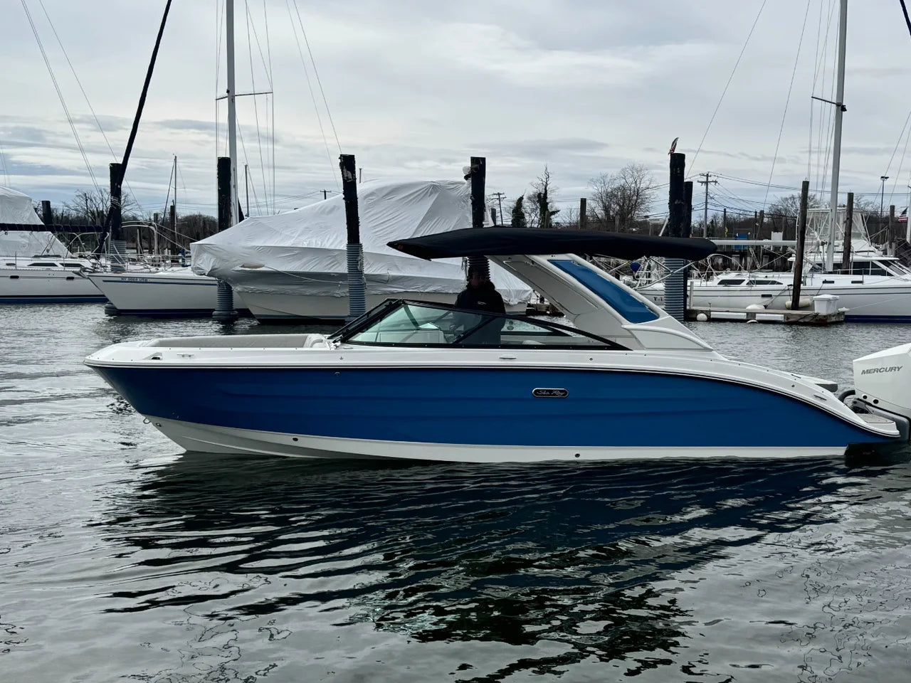 2026 Sea Ray SDX 250 Outboard 25.0 feet, Clearwater, Florida #43