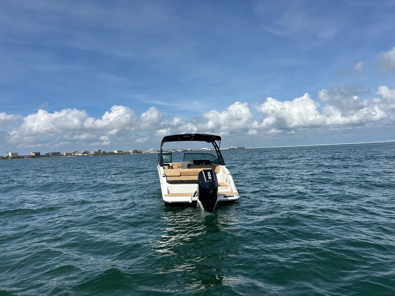 2026 Sea Ray SDX 250 Outboard 25.0 feet, Clearwater, Florida #4