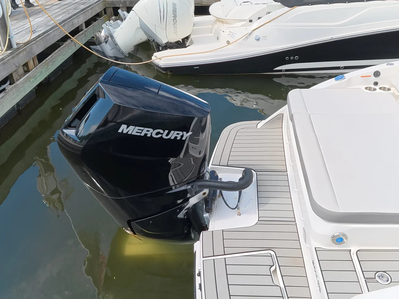 2025 Sea Ray SDX 270 Outboard 27.0 feet, Clearwater, Florida #5