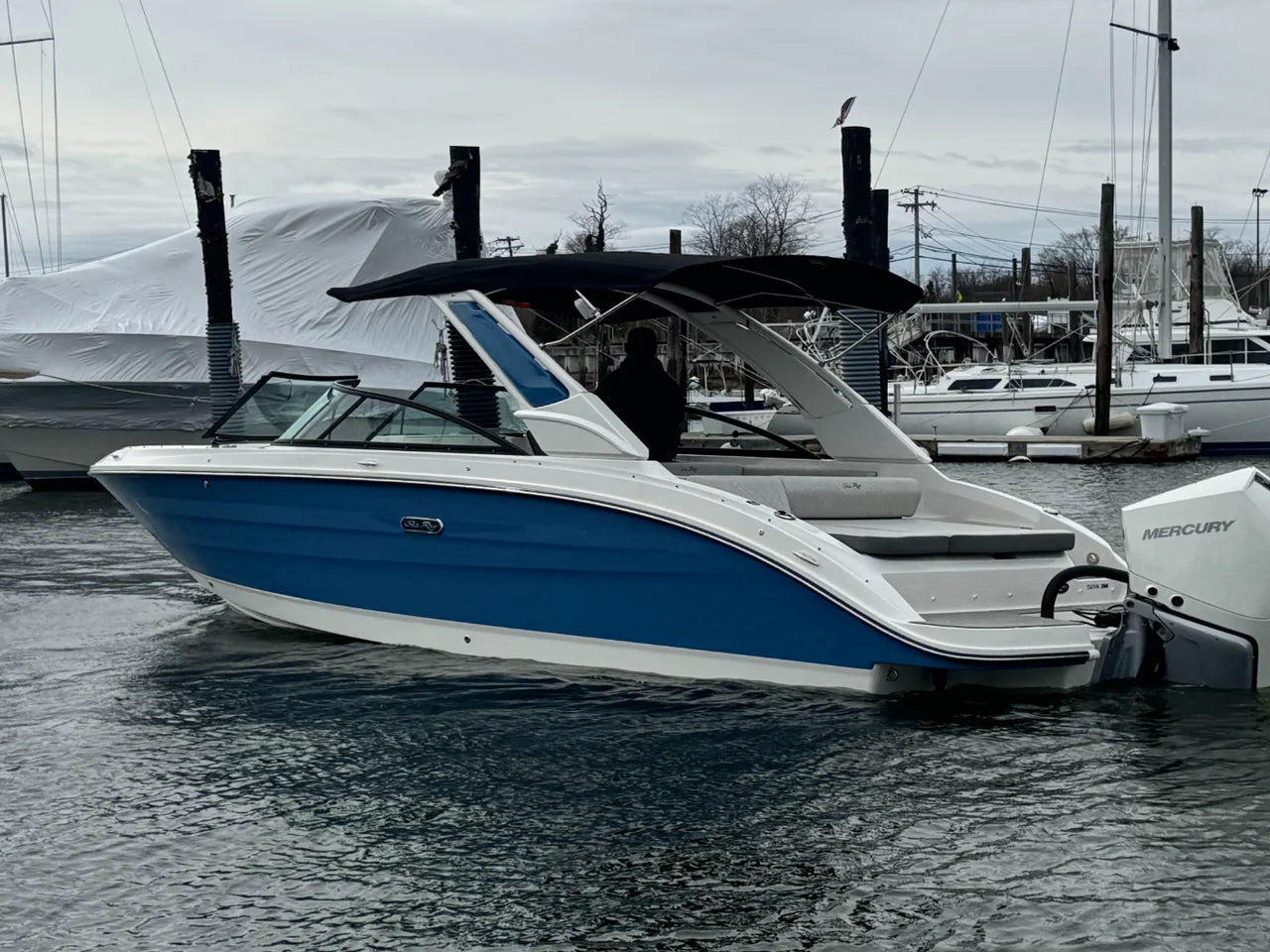 2026 Sea Ray SDX 250 Outboard 25.0 feet, Clearwater, Florida #2