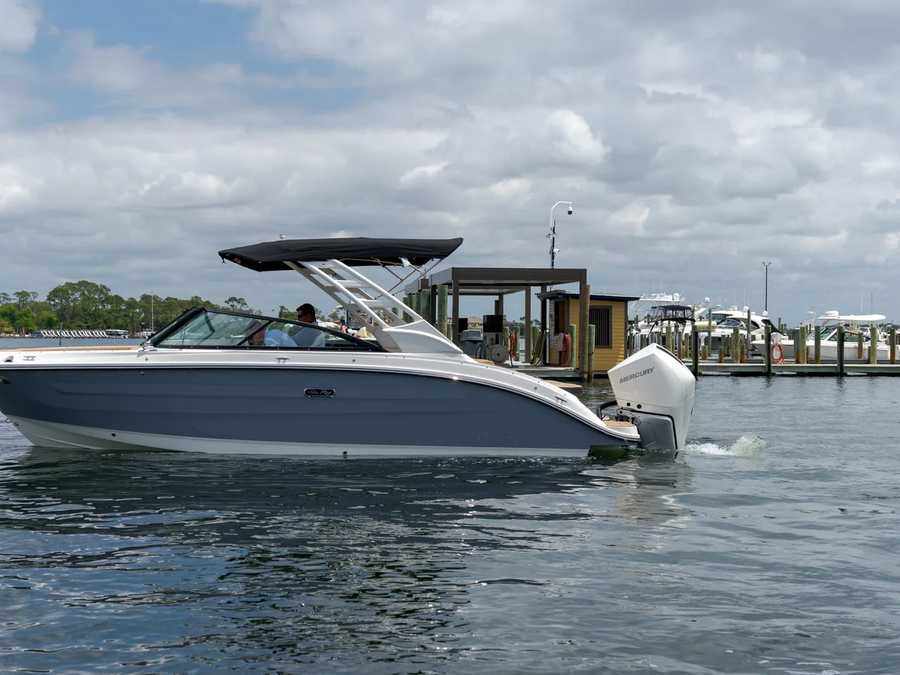 2026 Sea Ray SDX 250 Outboard 25.0 feet, Clearwater, Florida #1