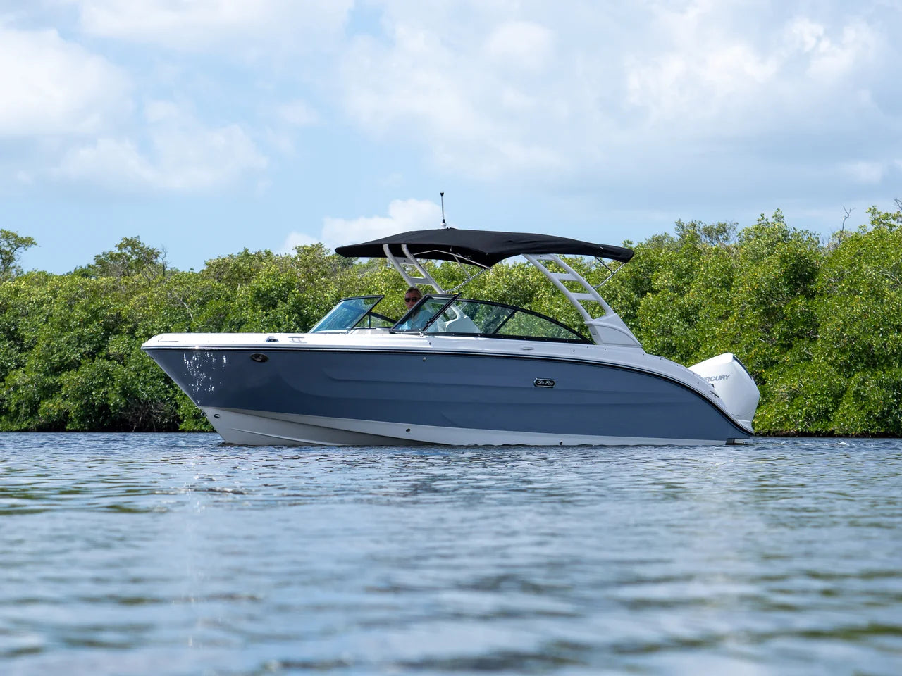2026 Sea Ray SDX 270 Outboard 27.0 feet, Clearwater, Florida #3