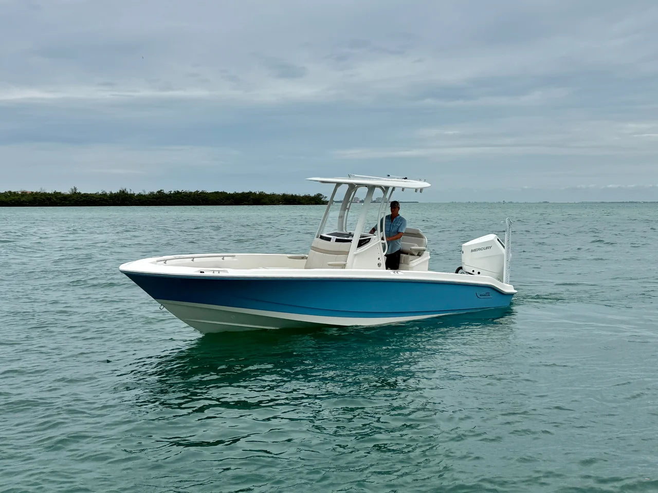 2026 Boston Whaler 250 Dauntless 25.0 feet, Clearwater, Florida #2