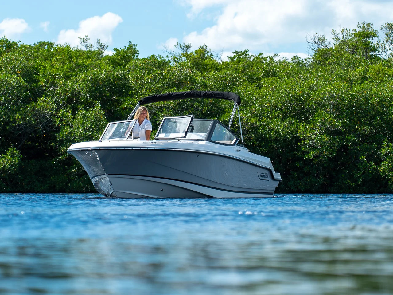 2026 Boston Whaler 210 Vantage 21.0 feet, Clearwater, Florida #19