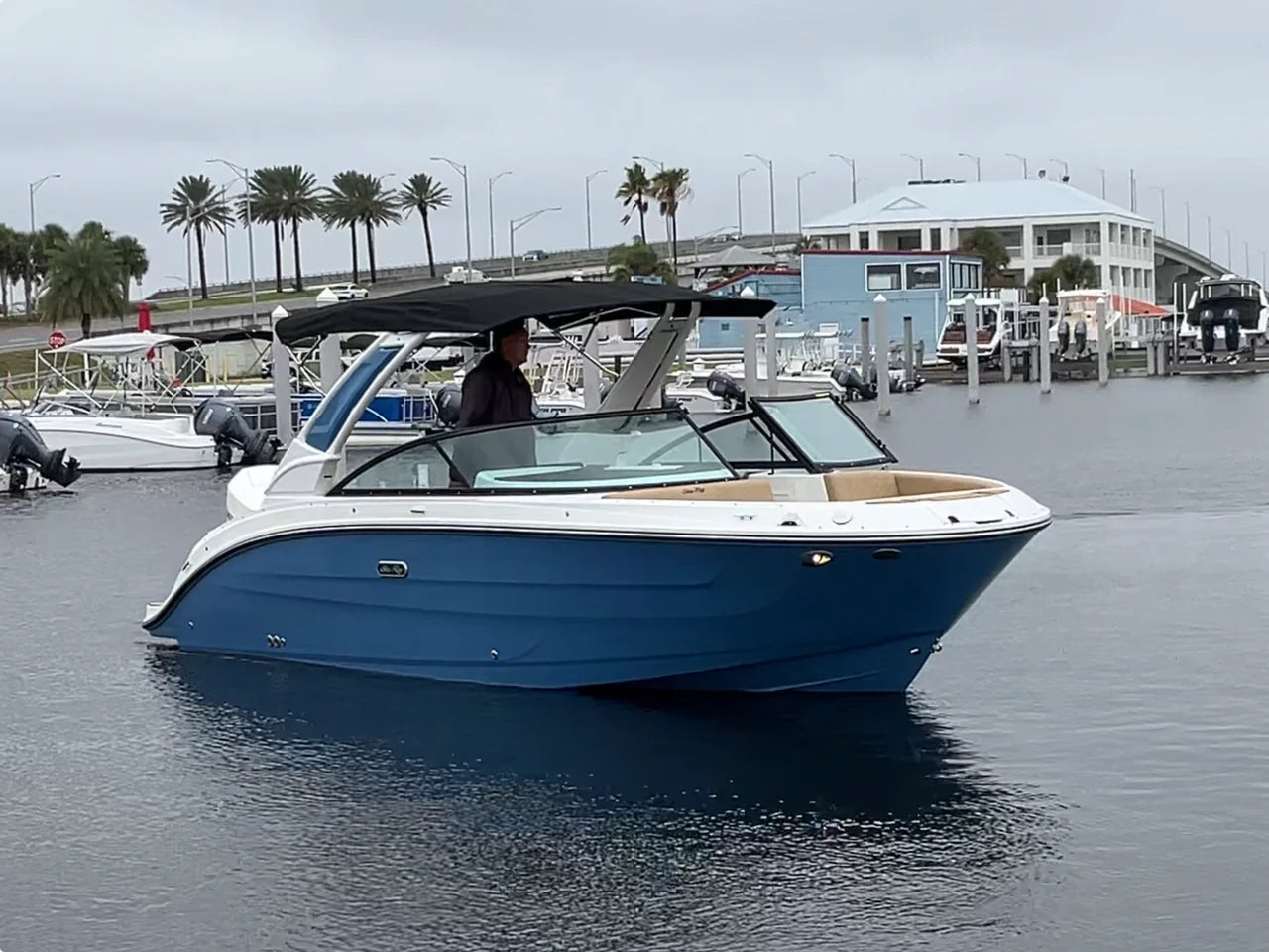 2026 Sea Ray SDX 250 Outboard 25.0 feet, Clearwater, Florida #5