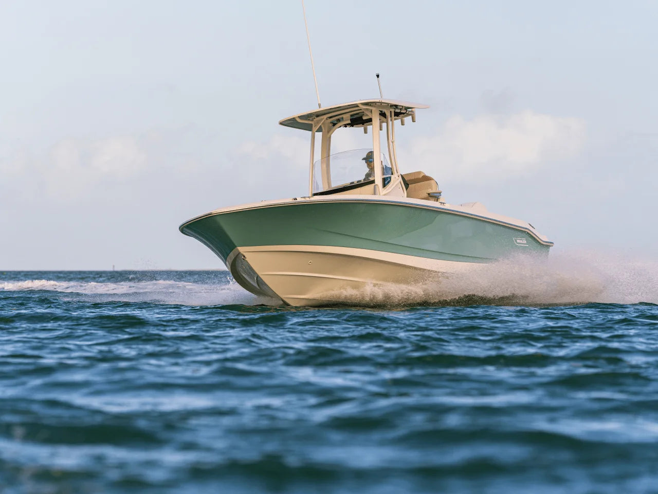 2026 Boston Whaler 250 Dauntless 25.0 feet, Clearwater, Florida #19