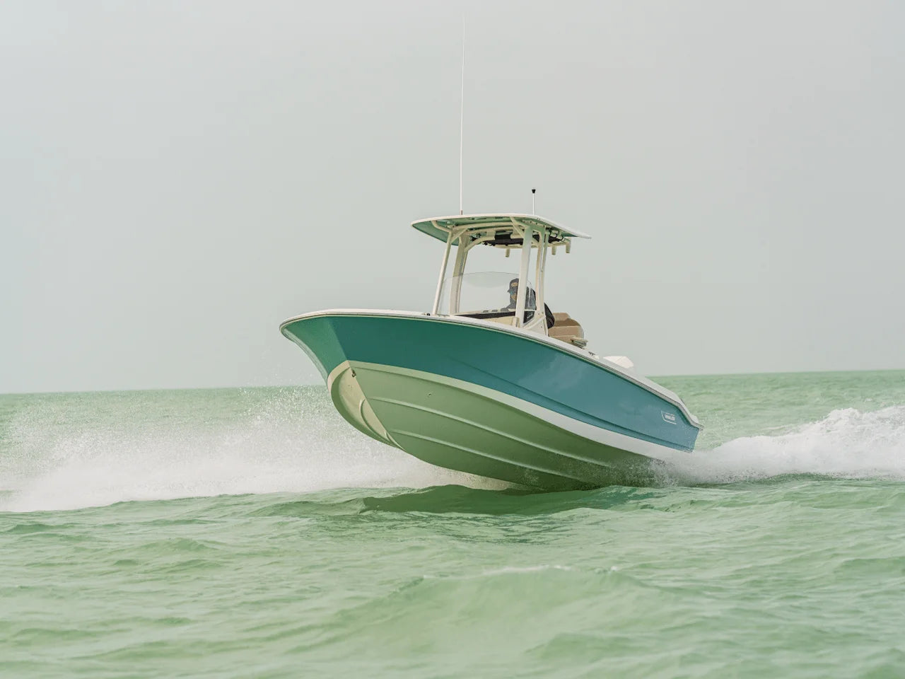 2026 Boston Whaler 250 Dauntless 25.0 feet, Clearwater, Florida #22