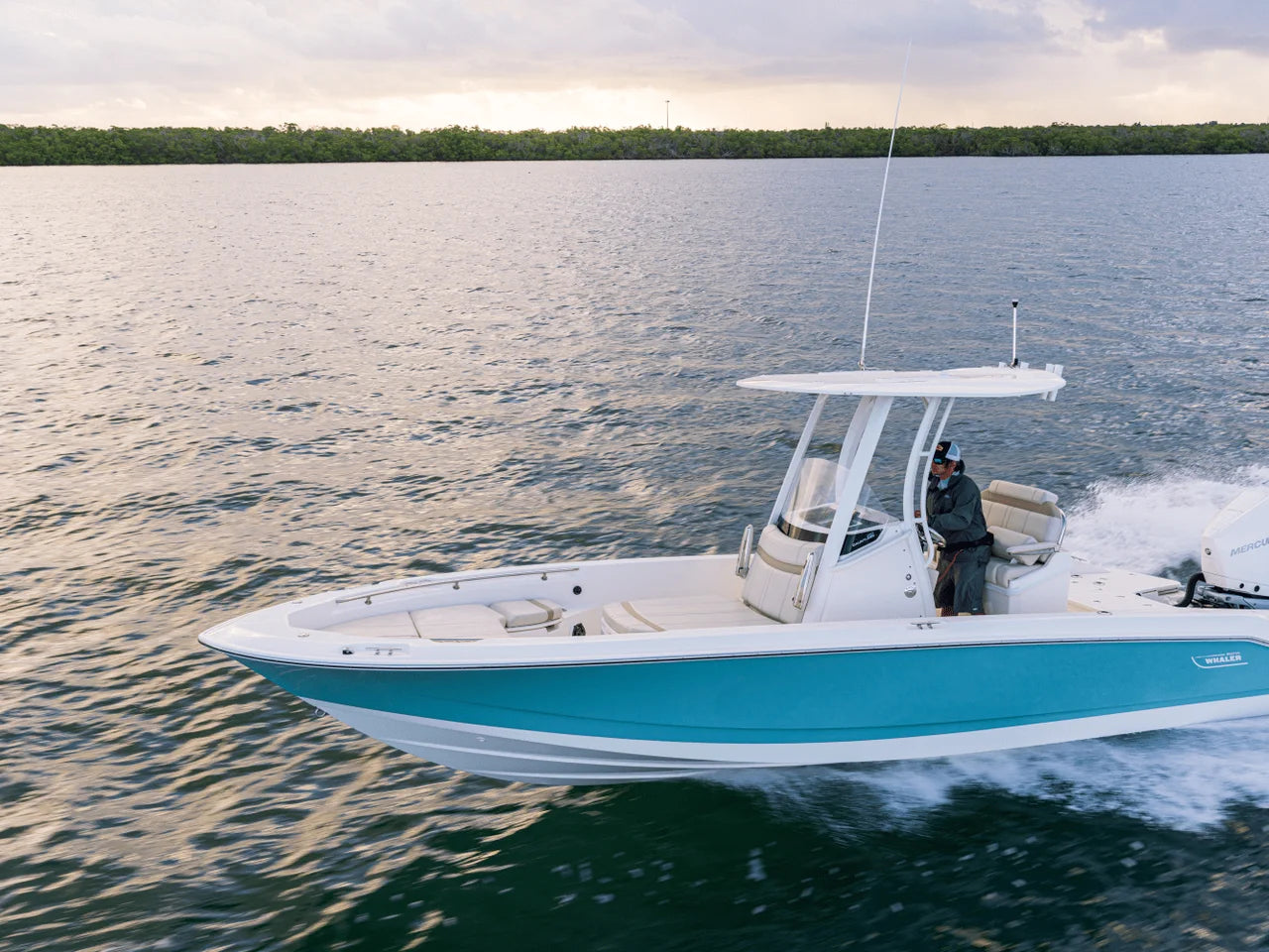 2026 Boston Whaler 250 Dauntless 25.0 feet, Clearwater, Florida #38