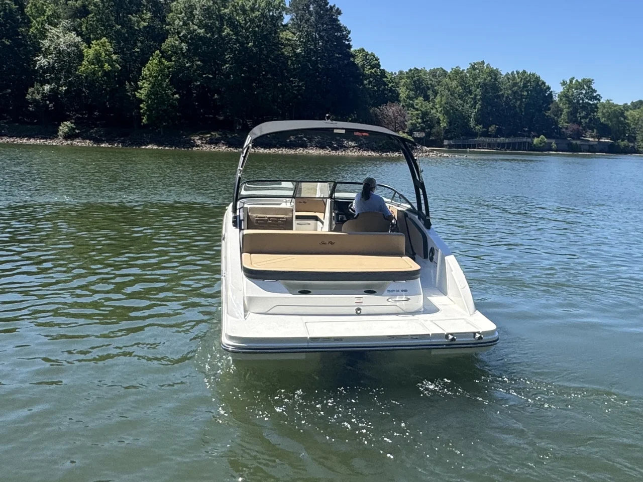 2026 Sea Ray SPX 210 21.0 feet, Clearwater, Florida #3