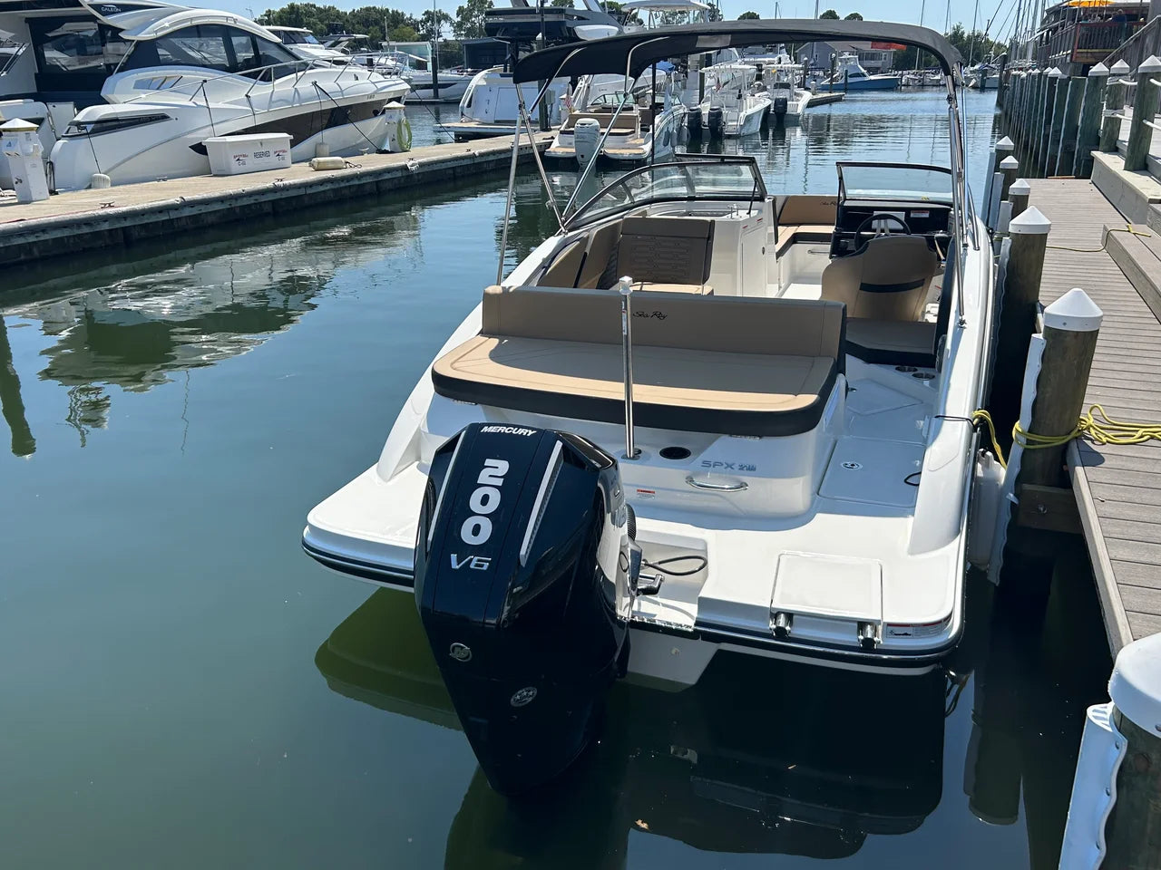2026 Sea Ray SPX 210 Outboard 21.0 feet, Clearwater, Florida #4