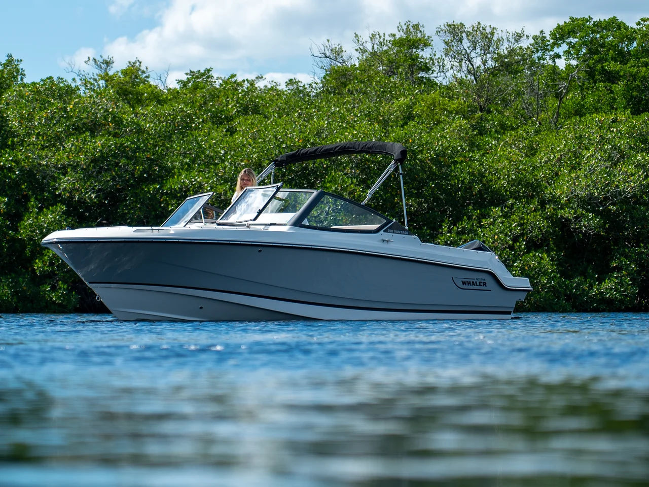 2026 Boston Whaler 210 Vantage 21.0 feet, Clearwater, Florida #3