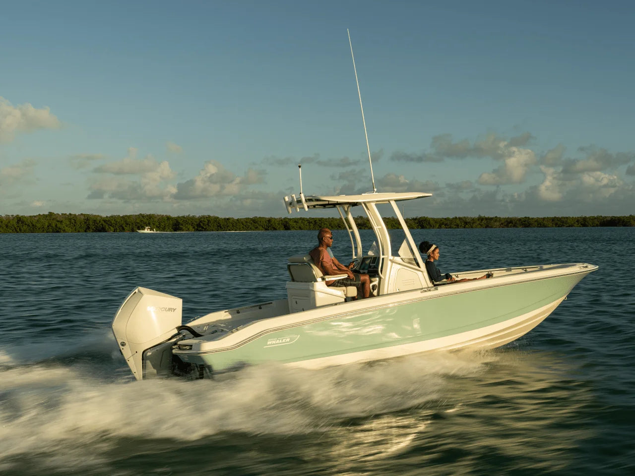 2026 Boston Whaler 250 Dauntless 25.0 feet, Clearwater, Florida #34