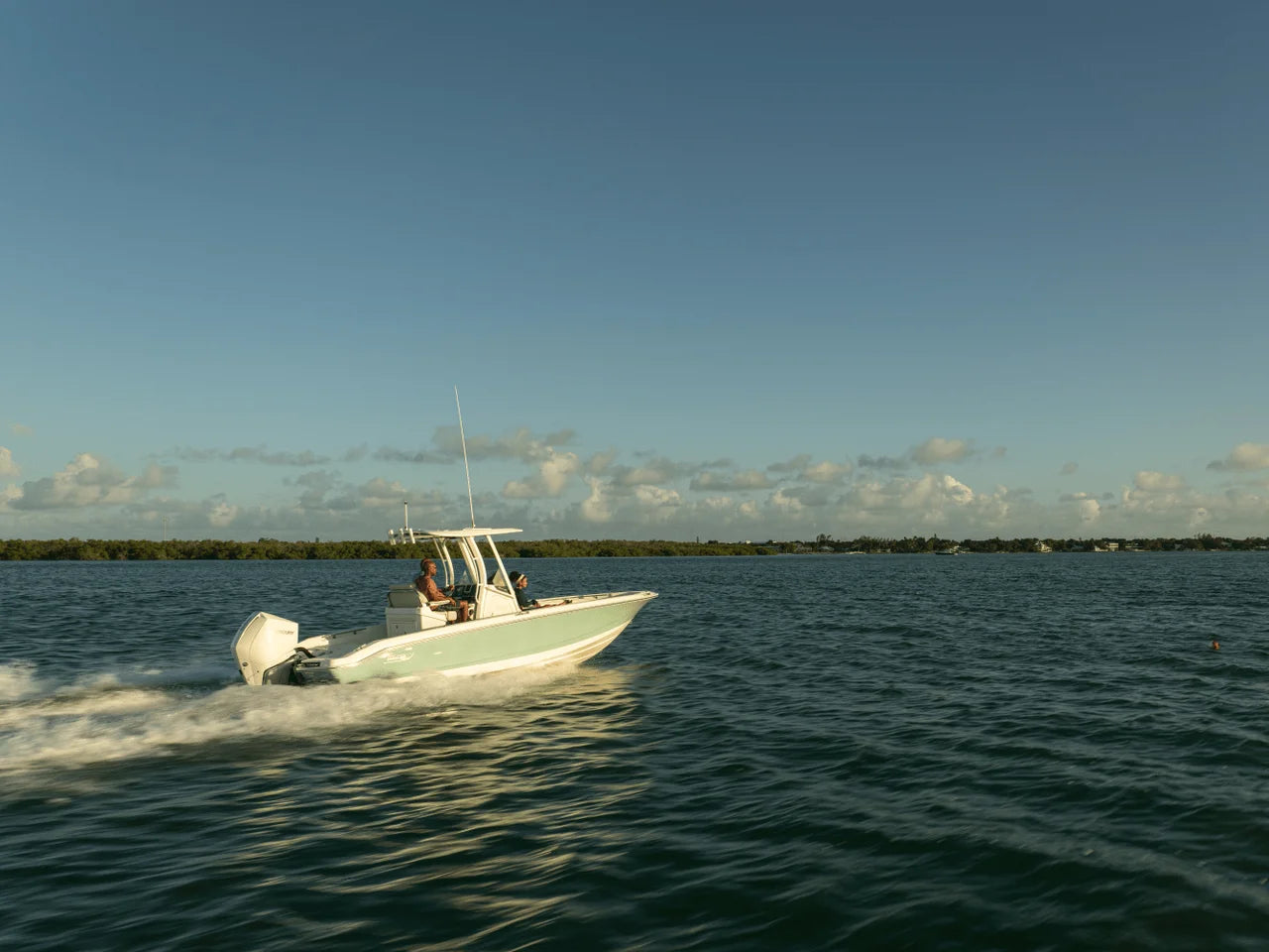 2026 Boston Whaler 250 Dauntless 25.0 feet, Clearwater, Florida #35