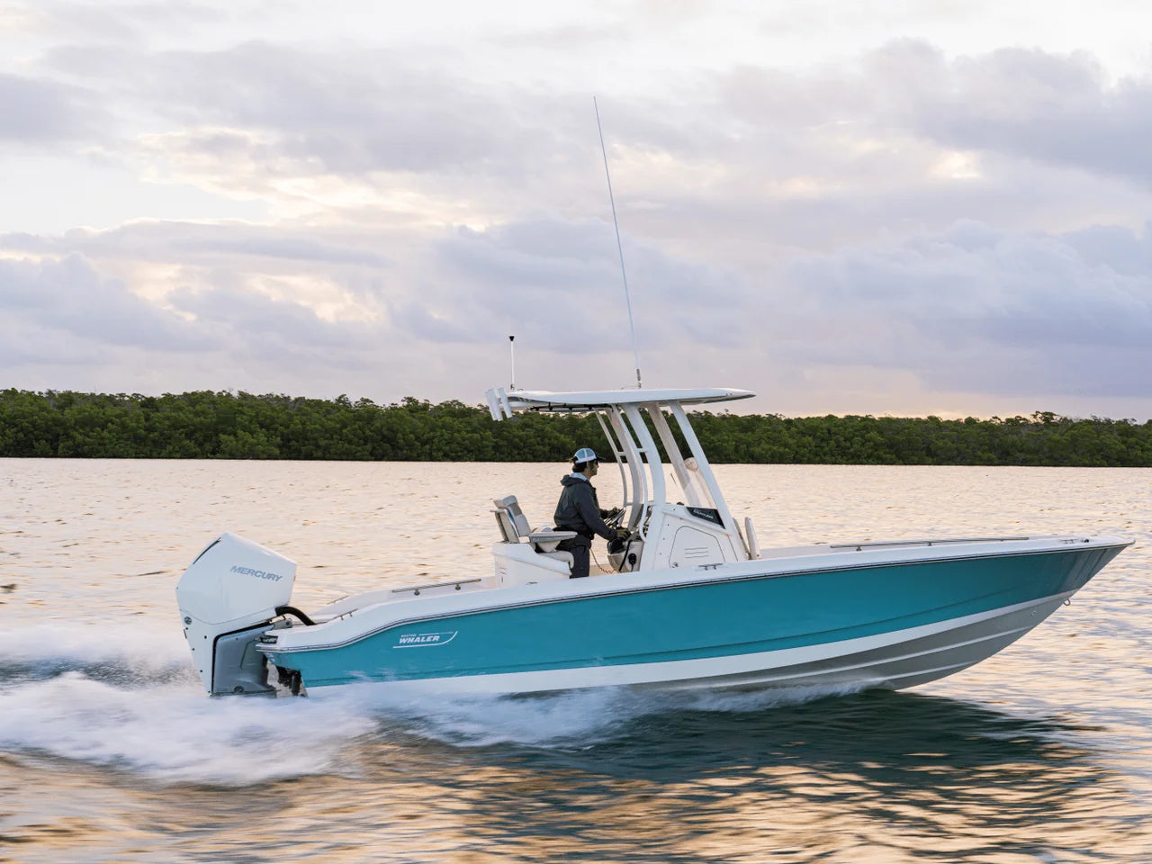 2026 Boston Whaler 250 Dauntless 25.0 feet, Clearwater, Florida #33
