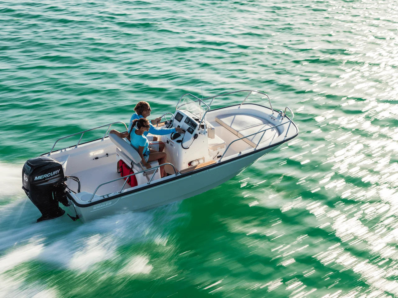 2026 Boston Whaler 150 Montauk 15.0 feet, Clearwater, Florida #13