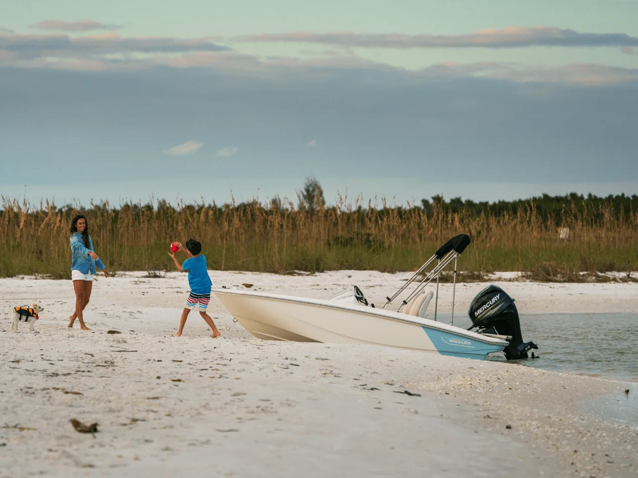 2026 Boston Whaler 130 Super Sport 13.0 feet, Clearwater, Florida #13