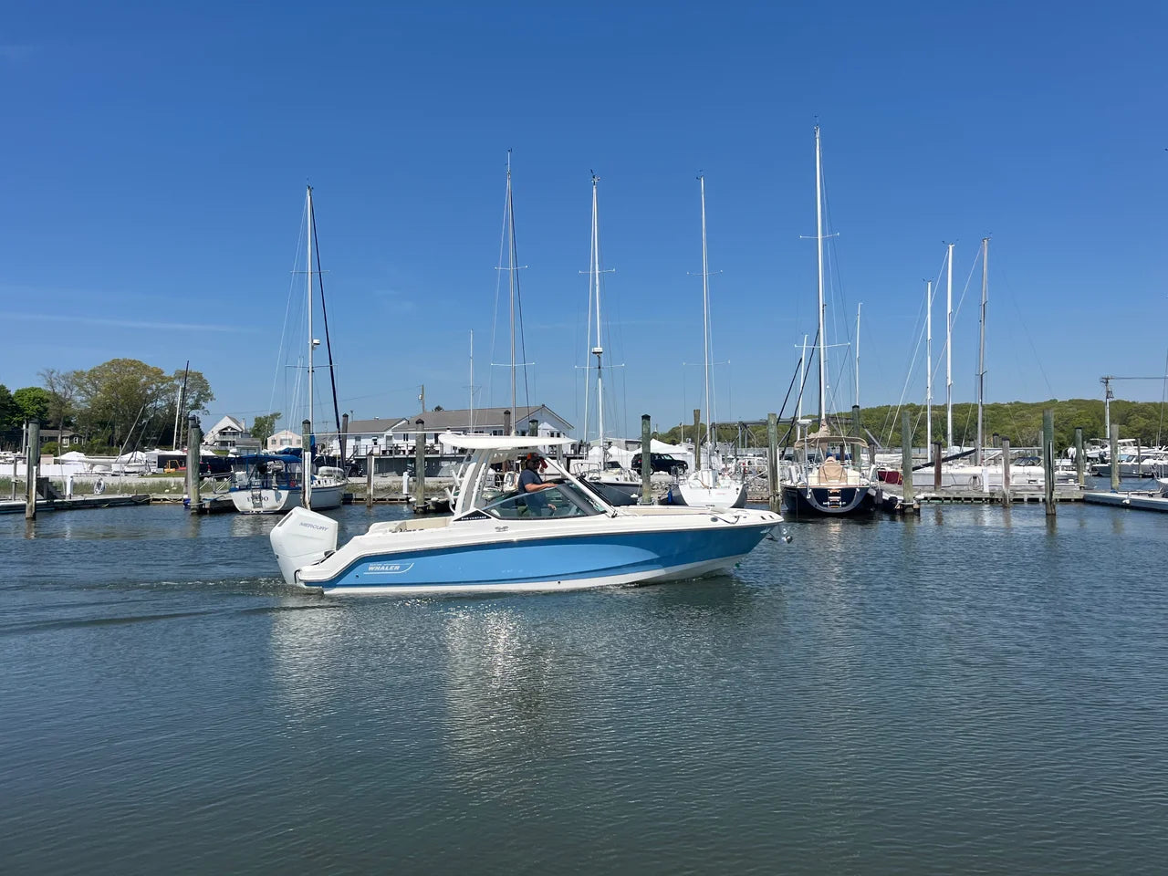 2026 Boston Whaler 240 Vantage 24.0 feet, Clearwater, Florida #1