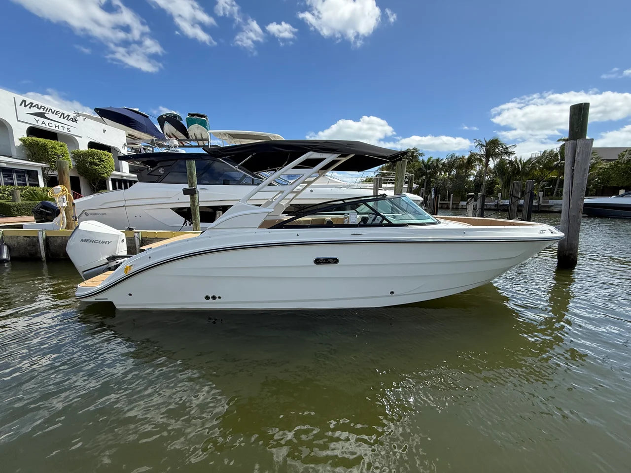 2026 Sea Ray SDX 250 Outboard 25.0 feet, Clearwater, Florida #4