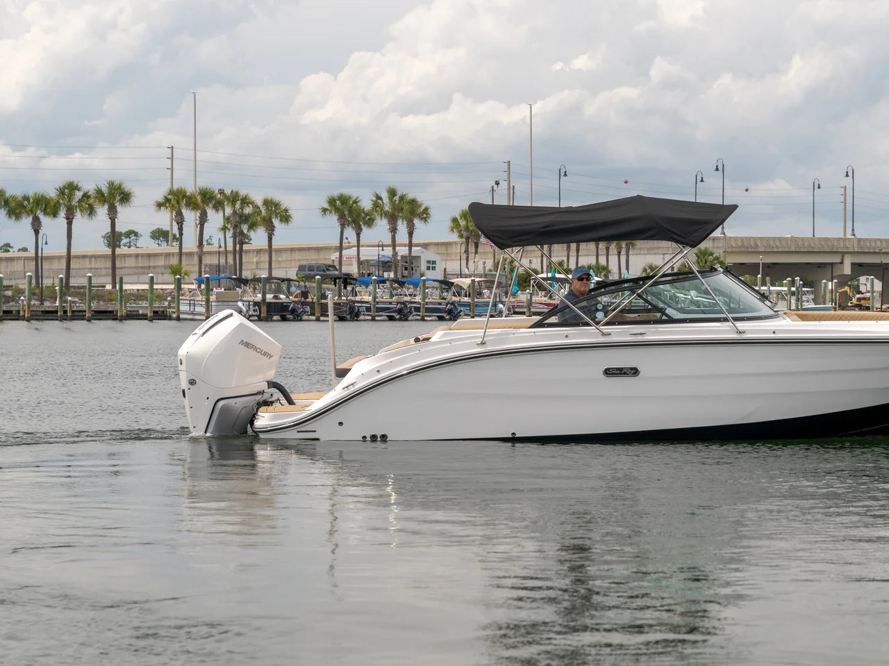 2026 Sea Ray SDX 230 Outboard 23.0 feet, Clearwater, Florida #5