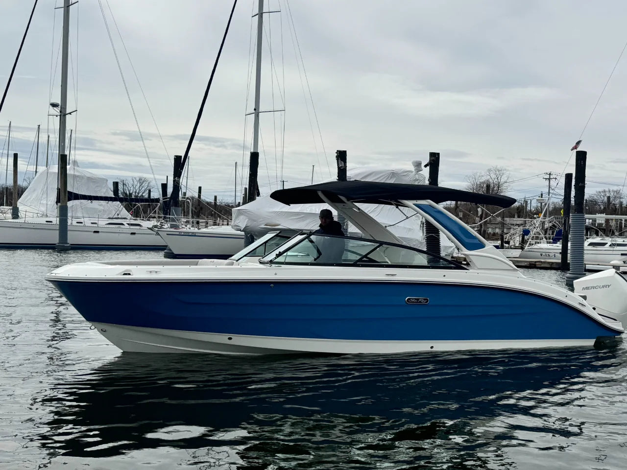 2026 Sea Ray SDX 250 Outboard 25.0 feet, Clearwater, Florida #1