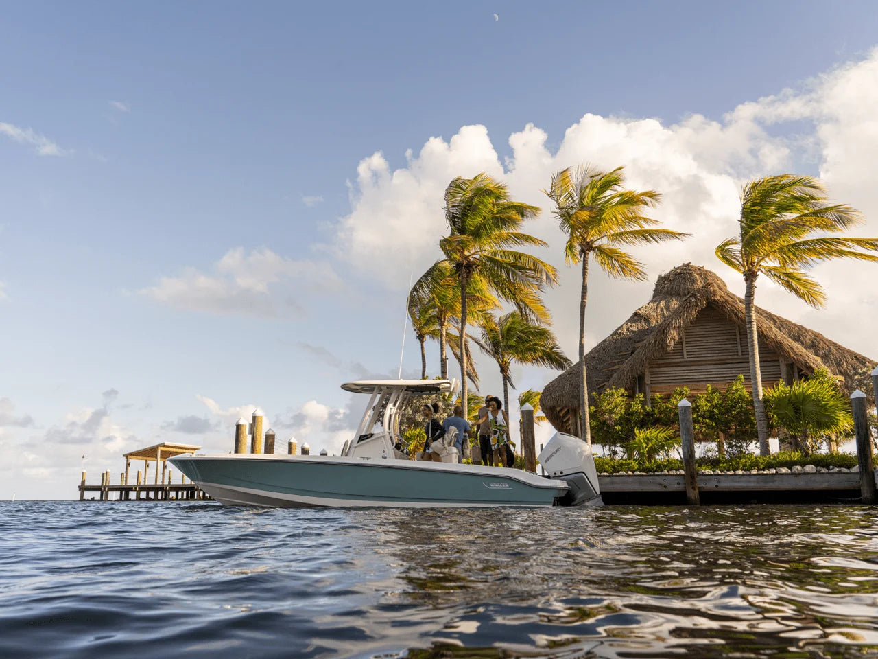 2026 Boston Whaler 250 Dauntless 25.0 feet, Clearwater, Florida #25