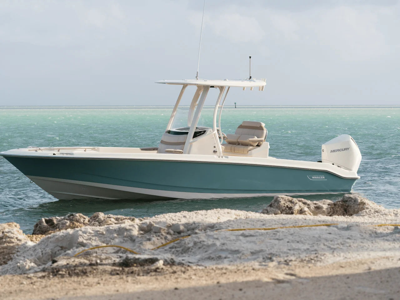 2026 Boston Whaler 250 Dauntless 25.0 feet, Clearwater, Florida #17