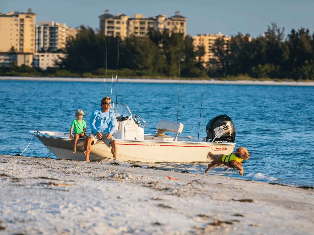 2026 Boston Whaler 150 Montauk 15.0 feet, Clearwater, Florida #8