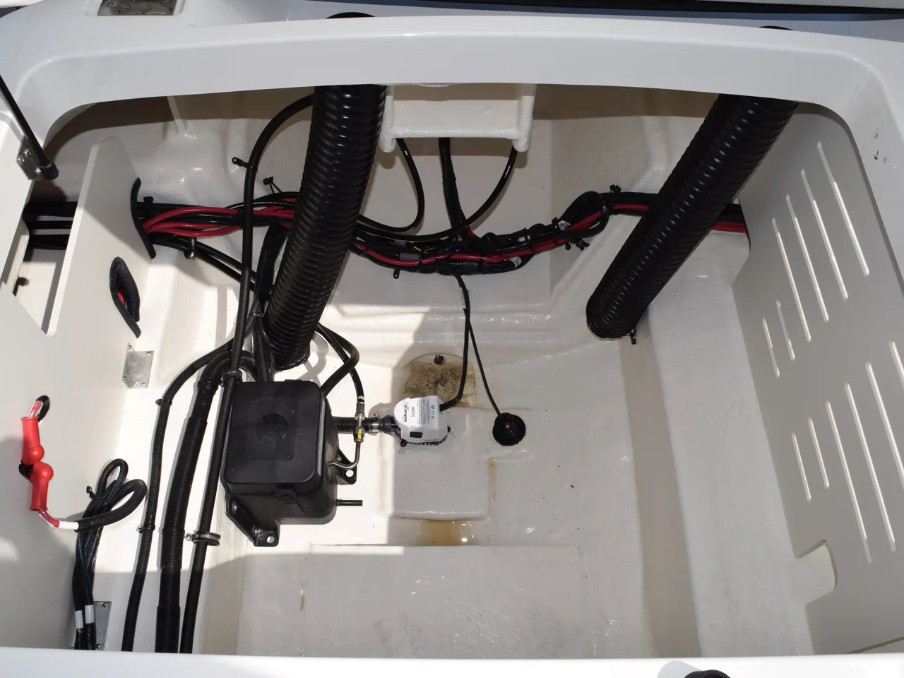 2026 Sea Ray SPX 210 Outboard 21.0 feet, Clearwater, Florida #6