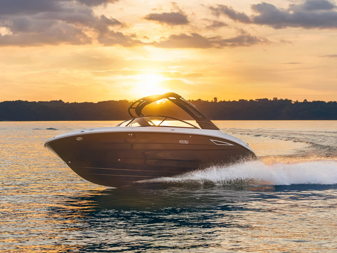 2026 Sea Ray SDX 250 25.0 feet, Clearwater, Florida #11
