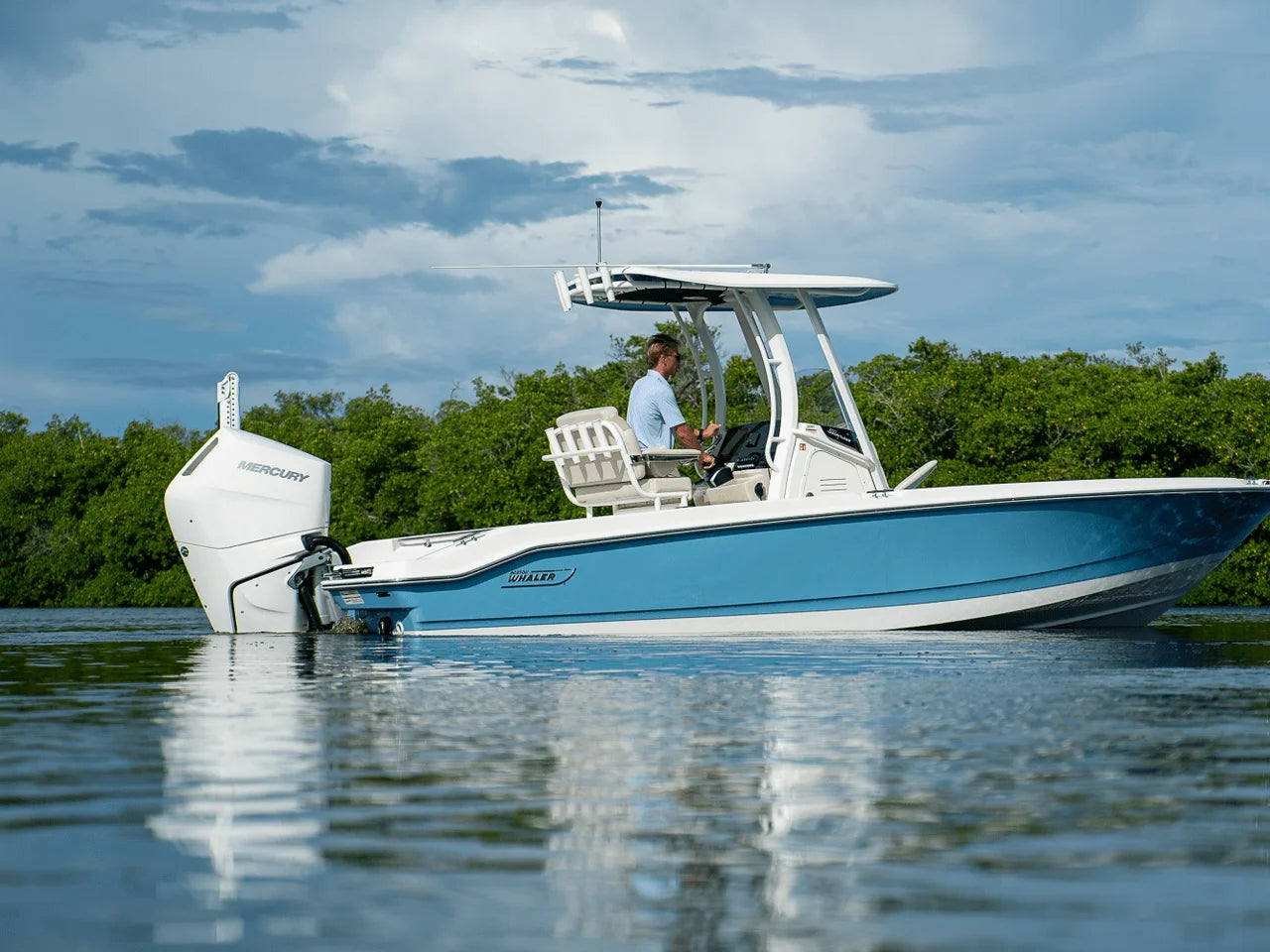 2026 Boston Whaler 250 Dauntless 25.0 feet, Clearwater, Florida #21