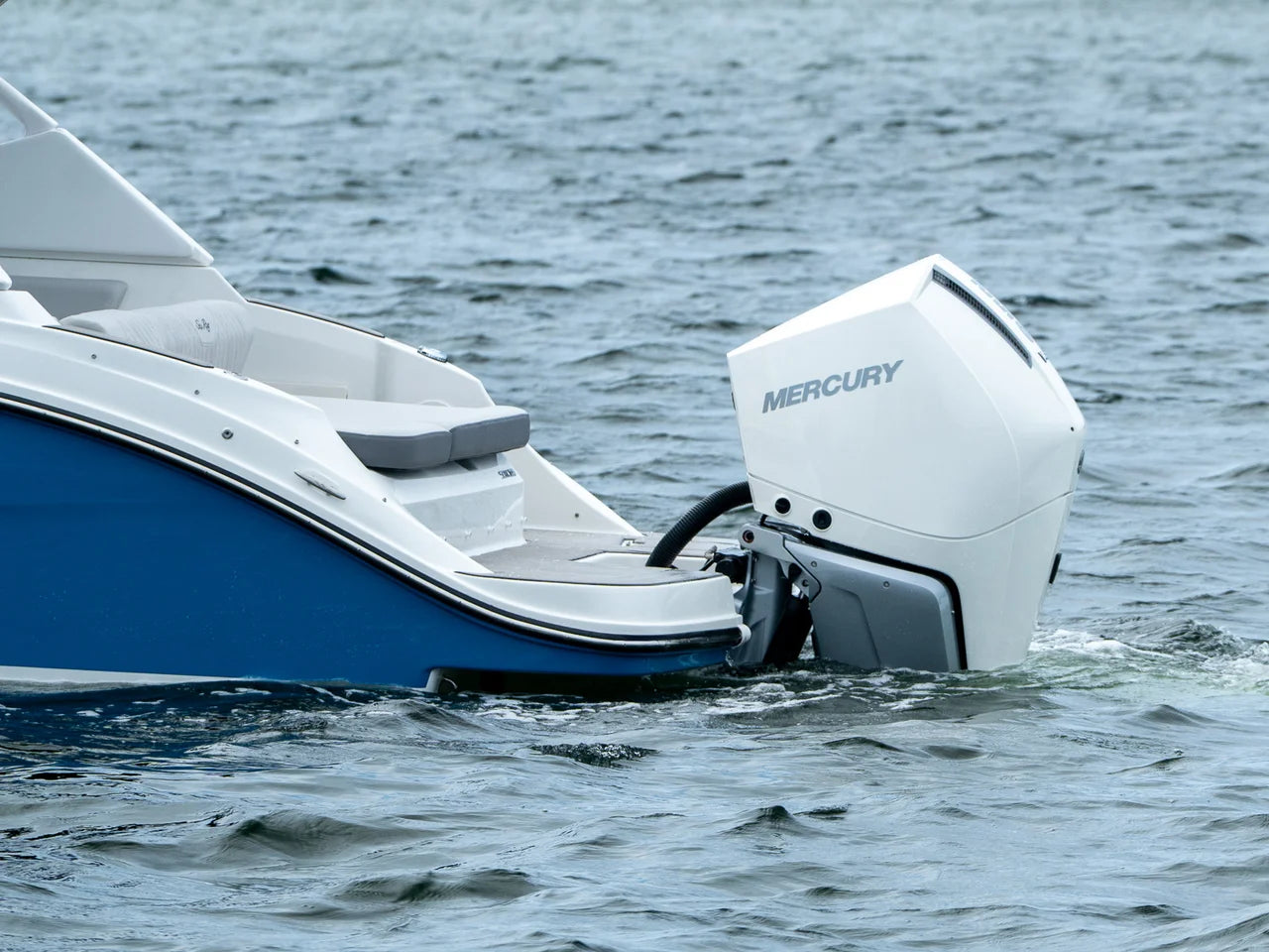 2026 Sea Ray SDX 230 Outboard 23.0 feet, Clearwater, Florida #3