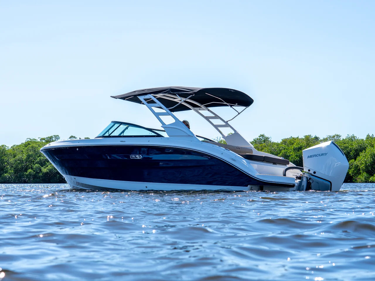 2026 Sea Ray SDX 250 Outboard 25.0 feet, Clearwater, Florida #2