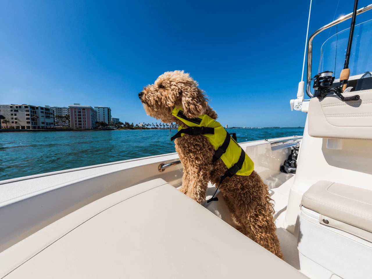 2026 Boston Whaler 150 Montauk 15.0 feet, Clearwater, Florida #16