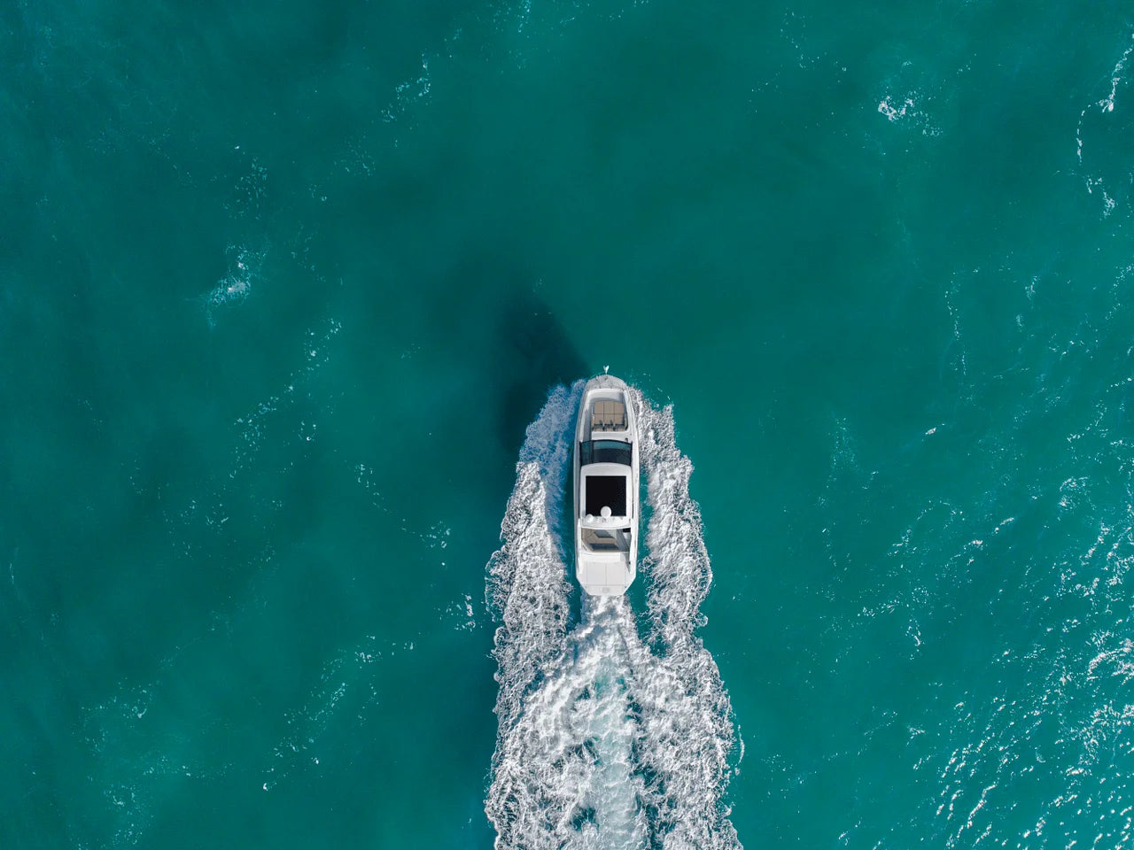 2026 Sea Ray Sundancer 320 32.0 feet, Clearwater, Florida #6