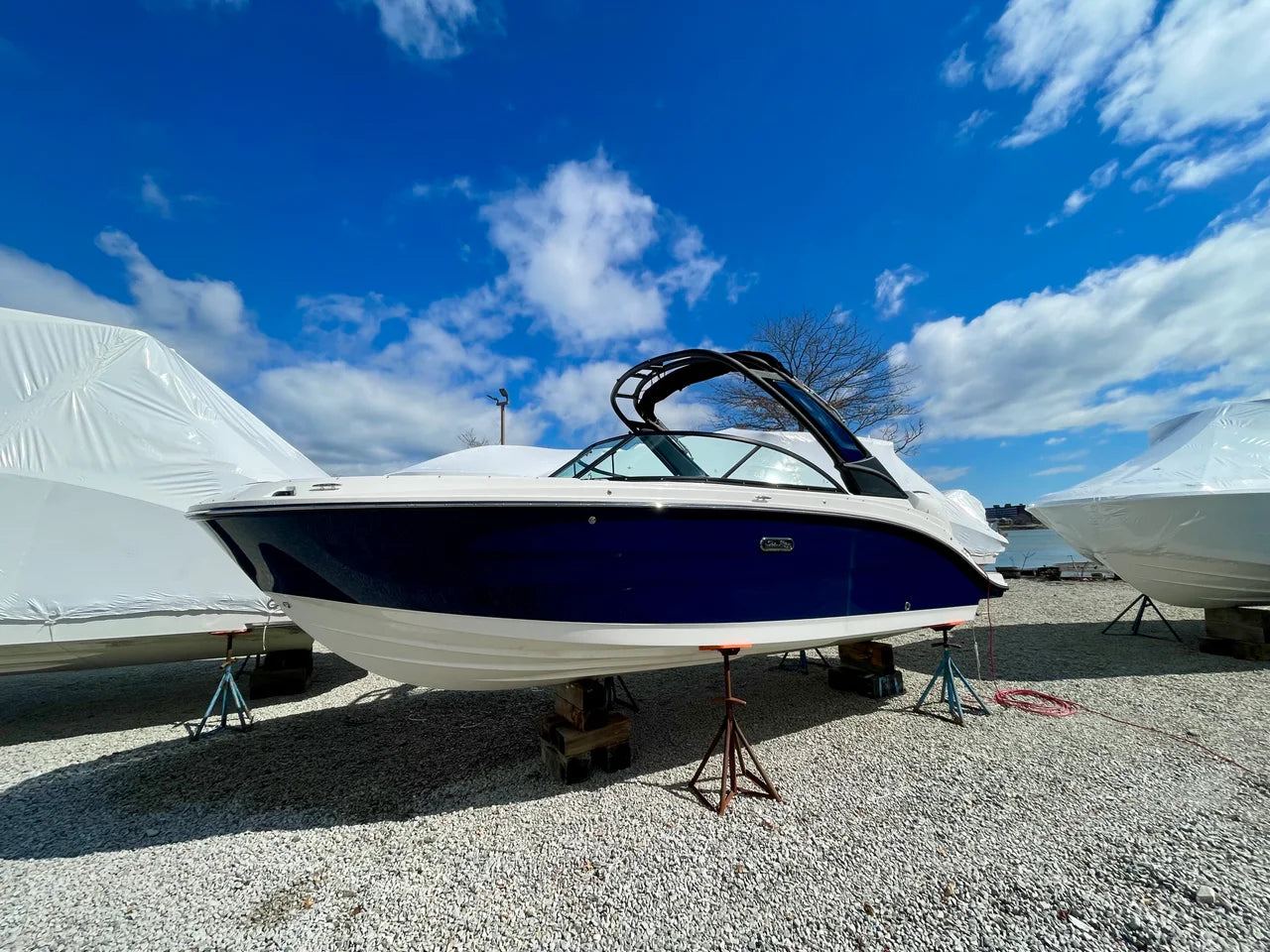 2026 Sea Ray SDX 230 Outboard 23.0 feet, Clearwater, Florida #2