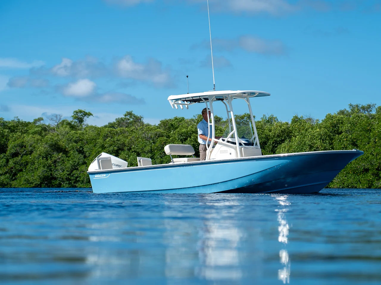 2026 Boston Whaler 210 Montauk 21.0 feet, Clearwater, Florida #1